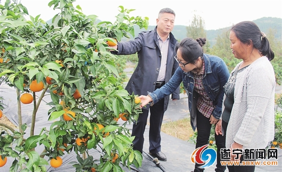 四川金堂县广兴镇8000亩优势产业成增收致富“摇钱树”