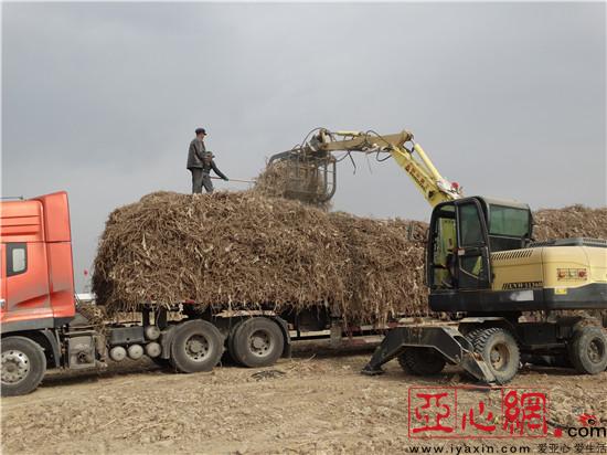 ½ŵʦһ3000Ķʲݽջ