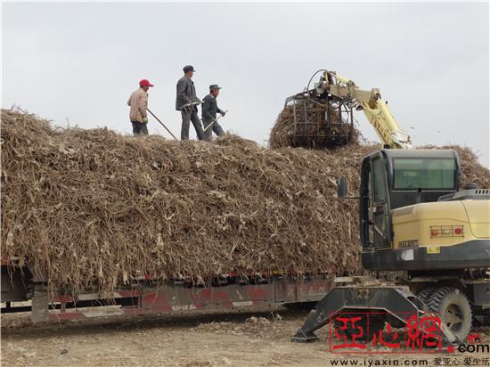 ½ŵʦһ3000Ķʲݽջ