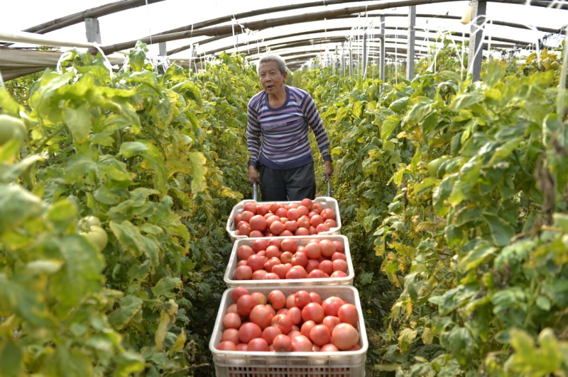 ӱʡºأƶϹ ִũҵ䡱