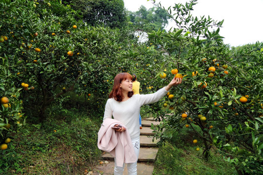 ĴϪĶ۽ϲ 4000ũʵ¸