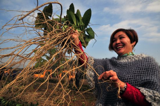 ʯӭڼ 300Ķлʯνģ