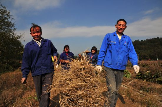 ʯӭڼ 300Ķлʯνģ