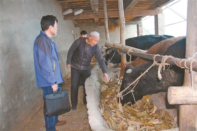 青海民和县:一幅金灿灿的秋收图景