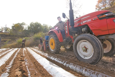 青海民和县:一幅金灿灿的秋收图景