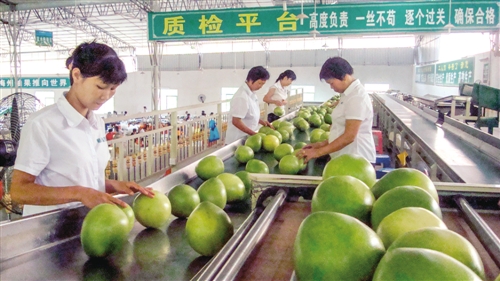 㶫÷ݾСλһ塱ɫũҵƷս