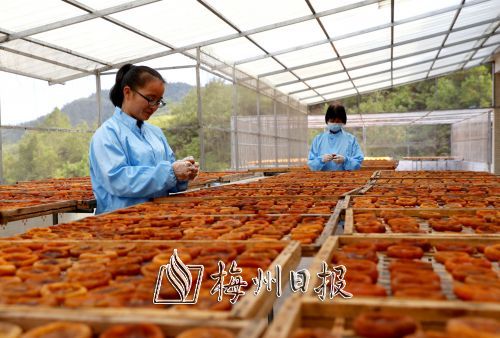 �㶫�廪�ش�������ϲ����� ��ȥ����ժ30%