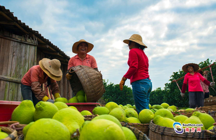 شɫƷƣ㶫ʻɳֲֵ˫