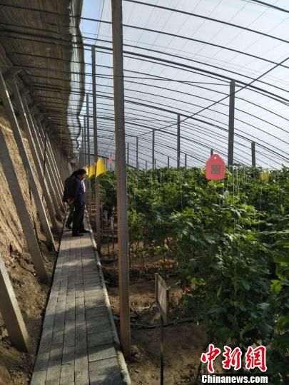 2017걱ﶬʩ߲˴ںӱٿ