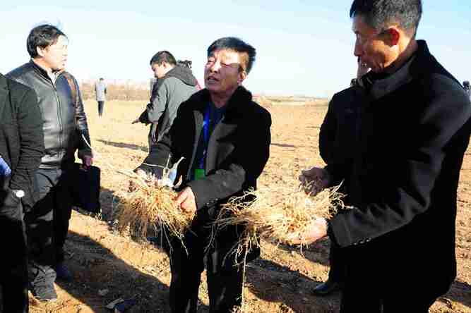 ʡأӿ췢չҩҵũ¸·