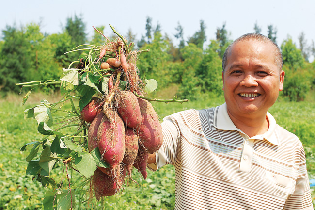 ȡ˾+ũչģʽ ݺͷعϣƶ¸