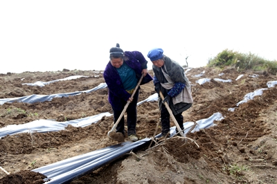 ݴطɽ磺ǧĶõ԰ ̾¸·