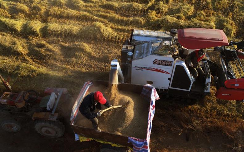 ɹŶпغӵ5260Ķˮϲӭ