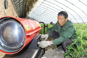 天津东丽区:现代化农业让市民冬季餐桌蔬菜更丰富