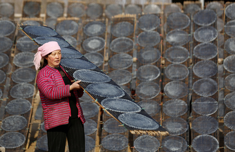 山东临沂:手工地瓜粉皮加工忙