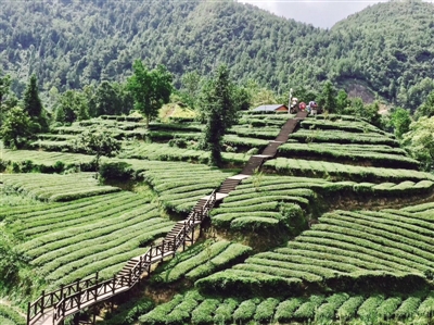 īѲҶ7Ʒ ֲĶ 3¿ʼժ