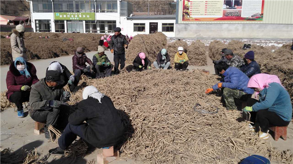 宁夏六盘山区隆德县中药材产业脱贫富民