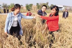 天津津南区:成立村合作社 农民变身“股东”