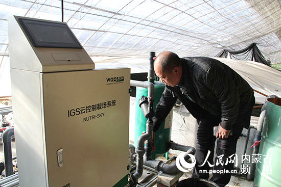 内蒙古呼和浩特市赛罕区:设施农业带动农民增收致富