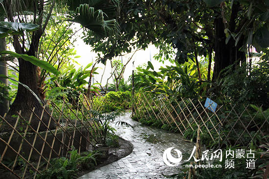 内蒙古呼和浩特市赛罕区:设施农业带动农民增收致富