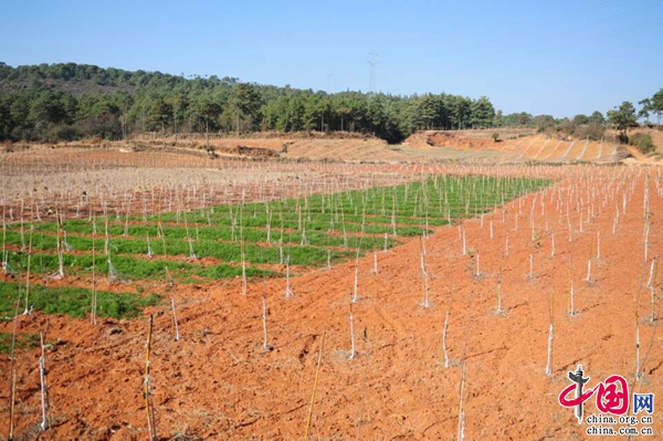 ʯֹɽչ׳ƻҵ ҪƶҪ¸