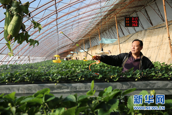 ɹźͺأ¼Ͷƶִũҵչ