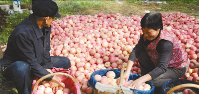 陕西淳化加强基层党建引领助推脱贫攻坚