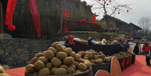 湖南花垣县十八洞精准扶贫结硕果 芒果生活一县一品完美收官