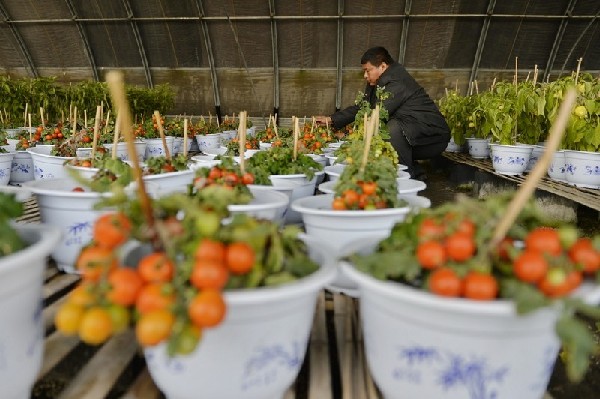 ӱʡ¹أʩũҵ̾ƶ·