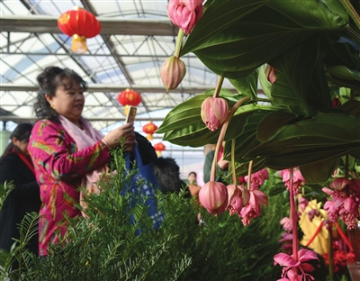 天津东丽区:“旅游+”助力农企转型发展