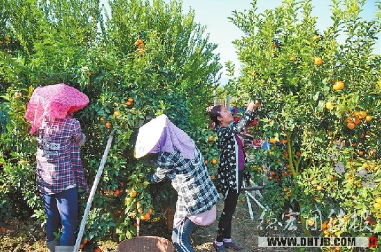 ϵºâУɳǽϲ ڹũЦտ