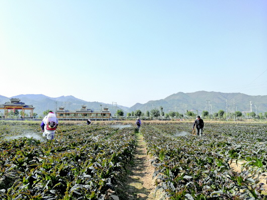 ݣǡ߲˳ɽɫҵˡƶæ