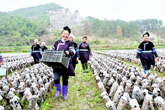 ݣǡ߲˳ɽɫҵˡƶæ