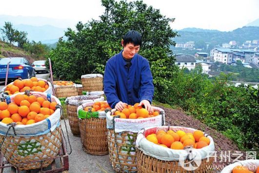 쿪ݣһٻʱ ũϲӭռ