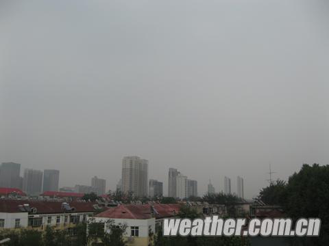 �ӱ���ӭ��һ�ֽ�ˮ �������ʯ���ȵ����ֺ�