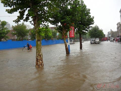 山东多地降暴雨 武城县内成“泽国”