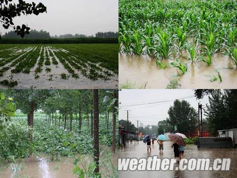 山东多地遭暴雨 德州等地受灾严重