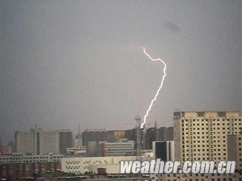 �������ɹŶ������� ������׵��ֺ�