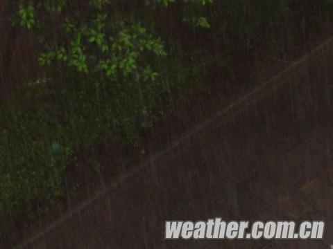 ��Χ��ˮ��Ϯ��������  �ƺ��Ա��������н���