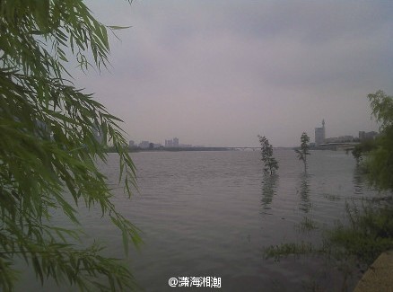 ����������ϵӰ�� ���ȵ��н�ǿ����