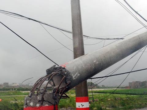 ��������ǿ�Ƶ�½ �㽭������Ъ