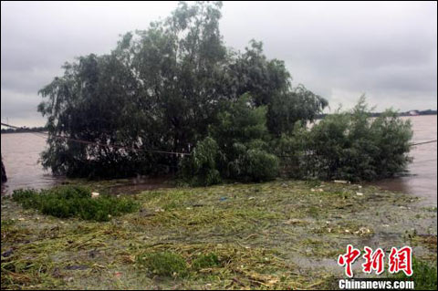 ǿ̨�硰��������ɨ�ӱ� ���������ˮλ��������