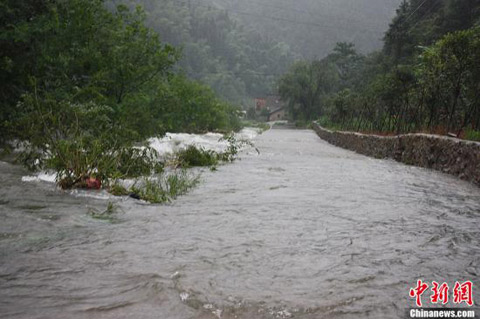 ����������������113�� �����������ļ�������Ӧ