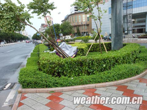 ̨�硰���¡��������� �������������轵