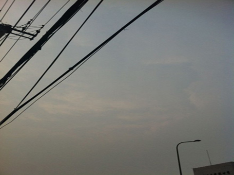 ��������������ת��������ҹ�������� ע�����