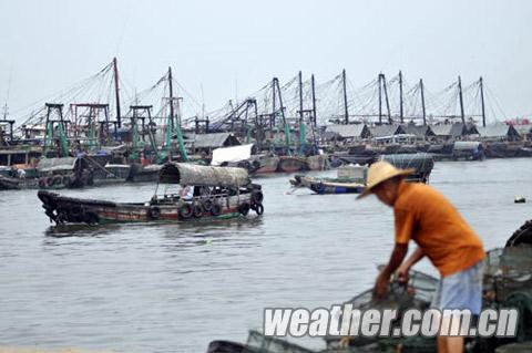 ������ֱ�������¡�׷�綯̬ տ������Ӵ�