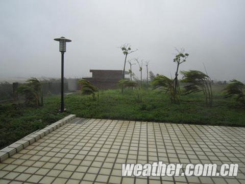 ������ֱ�������¡�׷�綯̬ տ������Ӵ�