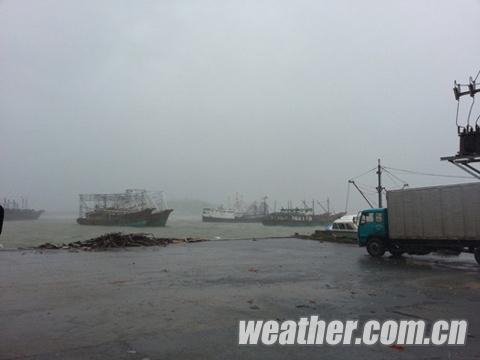 ̨�硰���¡��ƽ����� ���ظۿڴ������ۣ�ͼ��