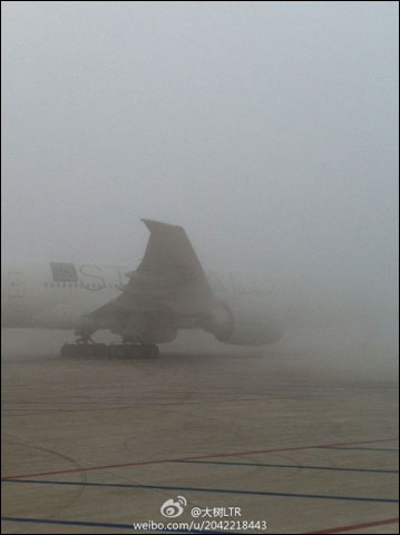 ���������ϲ��������� ����̨��������Ԥ��