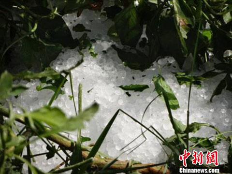 ���������ܷ籢�ֺ� ��󱢾���1����